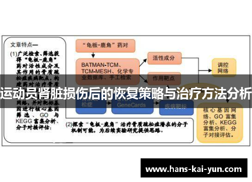 运动员肾脏损伤后的恢复策略与治疗方法分析
